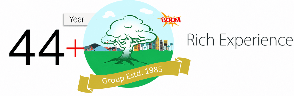 IT Development Company In India